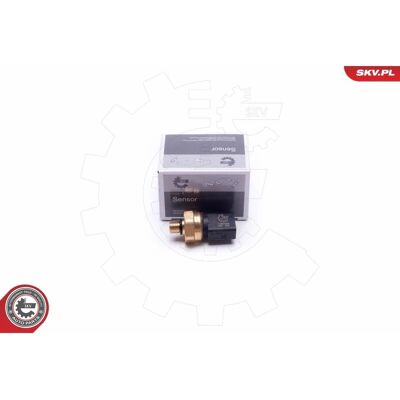 ESEN SKV Kraftstoffdrucksensor - 17SKV624 für Audi VW Seat Skoda ESEN SKV Kraftstoffdrucksensor - 17SKV624 für Audi VW Seat Skoda