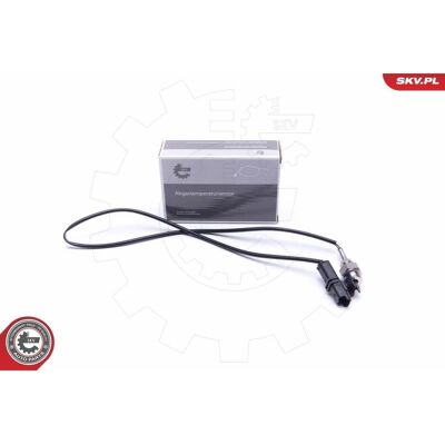 Esen Skv 8200688567 Αισθητήρας Θερμοκρασίας Καυσαερίων - Αισθητήρας Θερμοκρασίας Esen Skv 8200688567 Αισθητήρας Θερμοκρασίας Καυσαερίων - Αισθητήρας Θερμοκρασίας