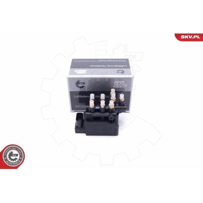 Μαγνητικό βαλβίδα ESEN SKV 93SKV808 - Σύστημα συμπιεσμένου αέρα Μαγνητικό βαλβίδα ESEN SKV 93SKV808 - Σύστημα συμπιεσμένου αέρα