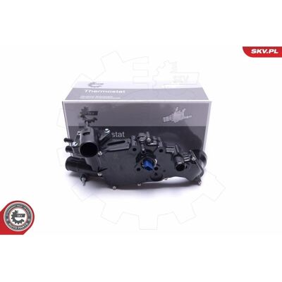 Esen SKV 20SKV161 Termostathus - Sensor kompatibel med CITROËN, FIAT, PEUGEOT Esen SKV 20SKV161 Termostathus - Sensor kompatibel med CITROËN, FIAT, PEUGEOT