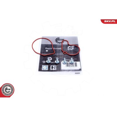 ESEN SKV 18SKV807 vakuumpump reparationssats - För Volkswagen, Seat, Audi, Skoda ESEN SKV 18SKV807 vakuumpump reparationssats - För Volkswagen, Seat, Audi, Skoda
