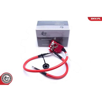 Adattatore batteria ESEN SKV 96SKV312 - Adattatore di batteria Adattatore batteria ESEN SKV 96SKV312 - Adattatore di batteria