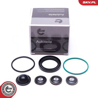 Esen SKV 96SKV933 Kit pompy paliwa Esen SKV 96SKV933 Kit pompy paliwa