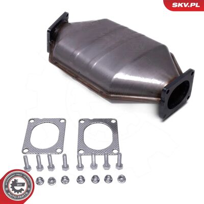 Filtro Particolato ESEN SKV 62SKV519 per BMW Filtro Particolato ESEN SKV 62SKV519 per BMW