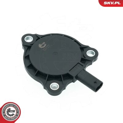 ESEN SKV 39SKV905 Centrale Magnetische Eenheid - Nokkenas Afstelling ESEN SKV 39SKV905 Centrale Magnetische Eenheid - Nokkenas Afstelling