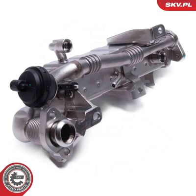 ESEN SKV 14SKV239 EGR-Ventil für BMW X1 X5 - EGR Ventil ESEN SKV 14SKV239 EGR-Ventil für BMW X1 X5 - EGR Ventil