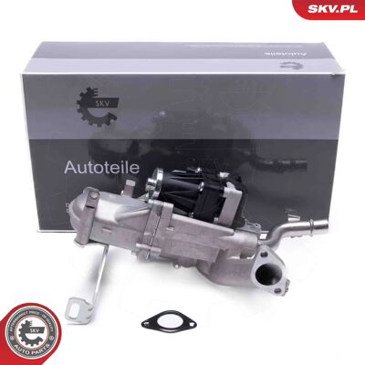 Válvula EGR Esen Skv 14skv250 para Peugeot, Citroën, Ford, Volvo, Mazda Válvula EGR Esen Skv 14skv250 para Peugeot, Citroën, Ford, Volvo, Mazda