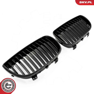 ESEN SKV 66SKV001 Zwart glanzend radiateurrooster voor BMW 1 Coupé ESEN SKV 66SKV001 Zwart glanzend radiateurrooster voor BMW 1 Coupé