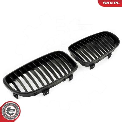 ESEN SKV 66SKV008 - Kühlergrill für BMW 1/3/5 Türen - Matt Schwarz ESEN SKV 66SKV008 - Kühlergrill für BMW 1/3/5 Türen - Matt Schwarz