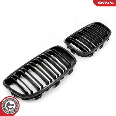 ESEN SKV 66SKV016 Parrilla de radiador negra brillante - Pieza de coche ESEN SKV 66SKV016 Parrilla de radiador negra brillante - Pieza de coche