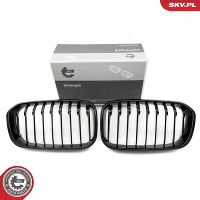 ESEN SKV 66SKV020 Radiator Grill - BMW 1 Series 5-door ESEN SKV 66SKV020 Radiator Grill - BMW 1 Series 5-door