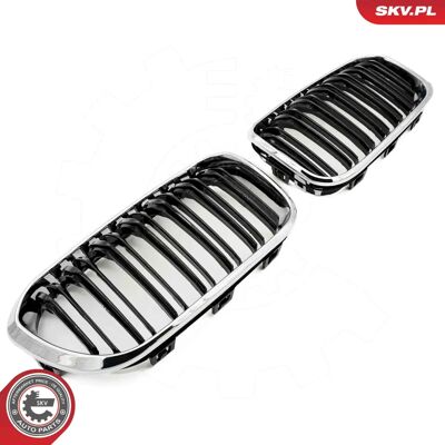 ESEN SKV 66SKV023 Griglia Radiatore Cromata BMW - Griglia Radiatore ESEN SKV 66SKV023 Griglia Radiatore Cromata BMW - Griglia Radiatore