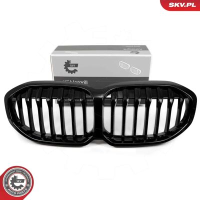 ESEN SKV 66SKV024 Schwarze Glänzende Mitte BMW Kühlergrill - Kühlergrill ESEN SKV 66SKV024 Schwarze Glänzende Mitte BMW Kühlergrill - Kühlergrill