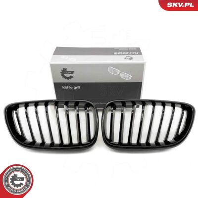 Esen 66SKV029 Schwarze Glanz BMW 2er Coupé Kühlergrill - Kühlergrill Esen 66SKV029 Schwarze Glanz BMW 2er Coupé Kühlergrill - Kühlergrill