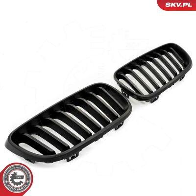 ESEN SKV 66SKV030 BMW 2er Coupé Schwarze Mattekühlergrill ESEN SKV 66SKV030 BMW 2er Coupé Schwarze Mattekühlergrill