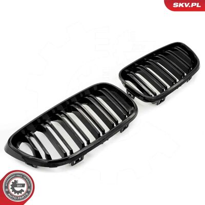 ESEN SKV 66SKV032 Glanzende Zwarte Radiator Grill BMW 2 Coupé ESEN SKV 66SKV032 Glanzende Zwarte Radiator Grill BMW 2 Coupé