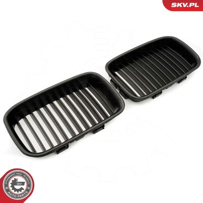 Esen Skv 66SKV046 Griglia Radiatore Nera Opaca - Per BMW Serie 3 Esen Skv 66SKV046 Griglia Radiatore Nera Opaca - Per BMW Serie 3