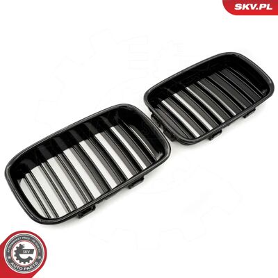 ESEN SKV 66SKV047 Griglia Radiatore Nera Lucida BMW - Componente Auto ESEN SKV 66SKV047 Griglia Radiatore Nera Lucida BMW - Componente Auto