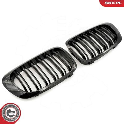 Grille Radiador Negro Brillante BMW 3 Coupé - OEM Grille Radiador Negro Brillante BMW 3 Coupé - OEM