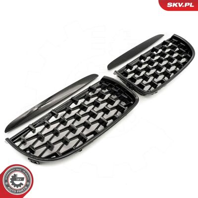ESEN SKV 66SKV093 Schwarze Glanz-Kühlergrill - Kühlergrill ESEN SKV 66SKV093 Schwarze Glanz-Kühlergrill - Kühlergrill