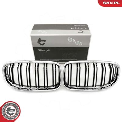 ESEN SKV 66SKV102 Chrom Kühlergrill für BMW 3er - Coupé & Cabriolet ESEN SKV 66SKV102 Chrom Kühlergrill für BMW 3er - Coupé & Cabriolet