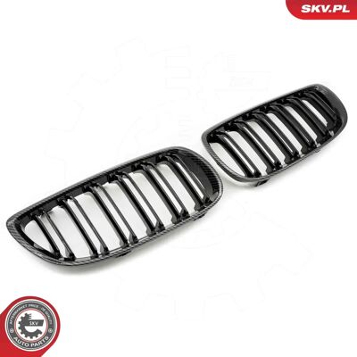 ESEN SKV 66SKV111 Carbon Kühlergrill - Kühlergrill ESEN SKV 66SKV111 Carbon Kühlergrill - Kühlergrill