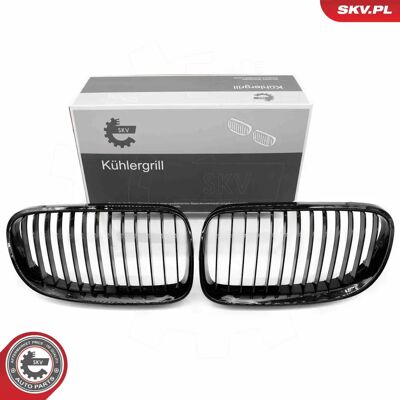 BMW 3er Kühlergrill - Schwarz Glänzend - OEM-Qualität BMW 3er Kühlergrill - Schwarz Glänzend - OEM-Qualität