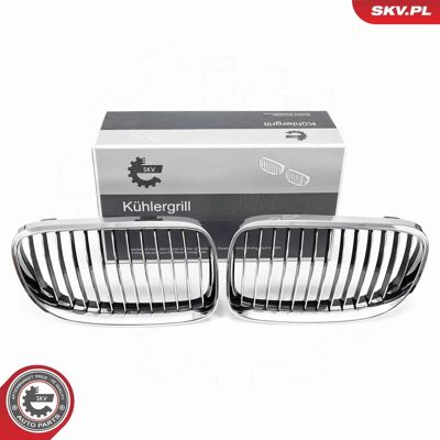 ESEN SKV 66SKV114 Parrilla de radiador cromada para BMW Serie 3 Coupé y Cabriolet ESEN SKV 66SKV114 Parrilla de radiador cromada para BMW Serie 3 Coupé y Cabriolet