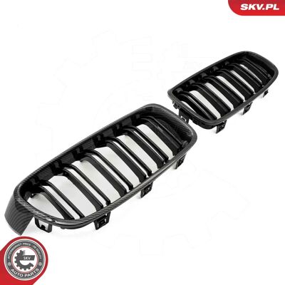 ESEN SKV 66SKV127 Kulfiber Radiatorgitter - BMW 3 Serie ESEN SKV 66SKV127 Kulfiber Radiatorgitter - BMW 3 Serie