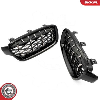 ESEN SKV 66SKV129 BMW Radiator Grill - 3 Series ESEN SKV 66SKV129 BMW Radiator Grill - 3 Series