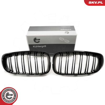 ESEN SKV 66SKV132 Griglia Radiatore BMW 3 GT Nero Lucido - Radiator Grill ESEN SKV 66SKV132 Griglia Radiatore BMW 3 GT Nero Lucido - Radiator Grill
