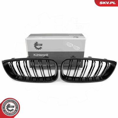 ESEN SKV 66SKV135 Carbon Kühlergrill - BMW 3 GT ESEN SKV 66SKV135 Carbon Kühlergrill - BMW 3 GT