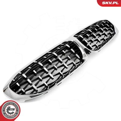 Esen SKV 66SKV143 Grilă de Radiator BMW - BMW 3 Touring & Sedan Esen SKV 66SKV143 Grilă de Radiator BMW - BMW 3 Touring & Sedan