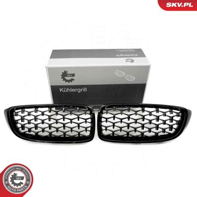 ESEN SKV 66SKV154 Svart Glansig BMW 4-serie Kylargrill ESEN SKV 66SKV154 Svart Glansig BMW 4-serie Kylargrill