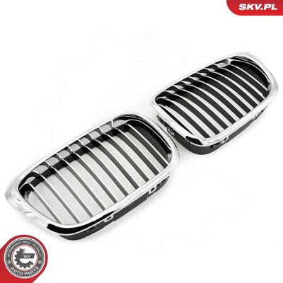 ESEN SKV 66SKV159 Parrilla de radiador cromada - Accesorio para coche ESEN SKV 66SKV159 Parrilla de radiador cromada - Accesorio para coche