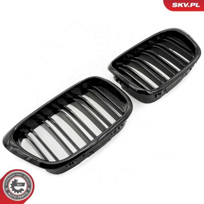 ESEN SKV 66SKV161 Svart BMW radiatorgrill - Radiator Grill ESEN SKV 66SKV161 Svart BMW radiatorgrill - Radiator Grill