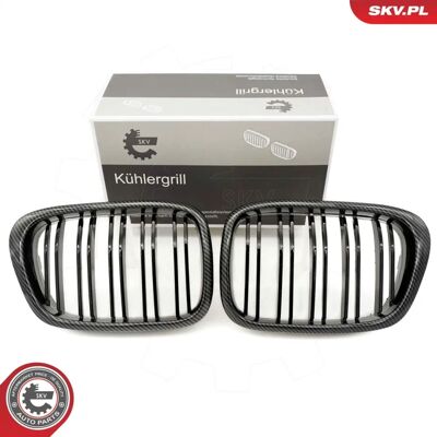 ESEN SKV 66SKV163 Carbon BMW Radiator Grill - Auto Bumper Cover ESEN SKV 66SKV163 Carbon BMW Radiator Grill - Auto Bumper Cover
