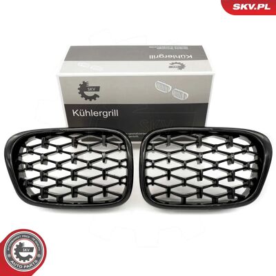 BMW 5 Series Radiator Grill - OEM 51132497261, 51138184531 BMW 5 Series Radiator Grill - OEM 51132497261, 51138184531
