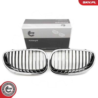 Grade de radiador cromada BMW Série 5 - Sedan & Touring Grade de radiador cromada BMW Série 5 - Sedan & Touring