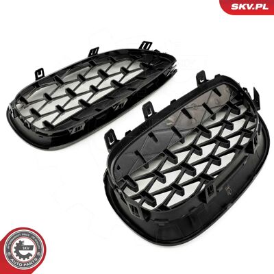 Esen SKV 66SKV175 BMW Forlygtegrill - Radiator Grill Esen SKV 66SKV175 BMW Forlygtegrill - Radiator Grill