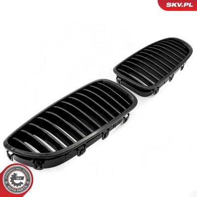 ESEN SKV 66SKV179 Griglia radiatore nera BMW - Griglia radiatore ESEN SKV 66SKV179 Griglia radiatore nera BMW - Griglia radiatore