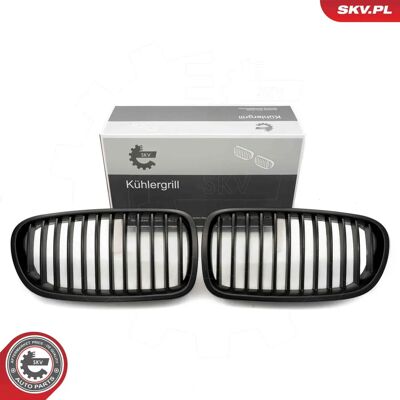 ESEN SKV 66SKV181 Parrilla De Radiador Negra Mate BMW - Pieza de coche ESEN SKV 66SKV181 Parrilla De Radiador Negra Mate BMW - Pieza de coche
