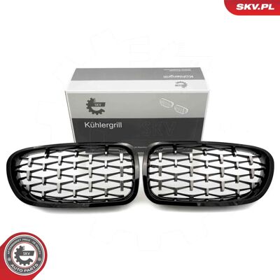 ESEN SKV 66SKV191 BMW Kühlergrill - Schwarz Silber Glänzend ESEN SKV 66SKV191 BMW Kühlergrill - Schwarz Silber Glänzend
