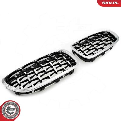ESEN SKV 66SKV192 BMW Rejilla de Radiador Plateada - Rejilla de Radiador ESEN SKV 66SKV192 BMW Rejilla de Radiador Plateada - Rejilla de Radiador
