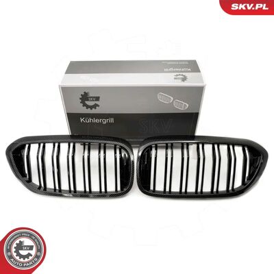 ESEN SKV 66SKV197 Carbon Kühlergrill - Kühlergrill ESEN SKV 66SKV197 Carbon Kühlergrill - Kühlergrill
