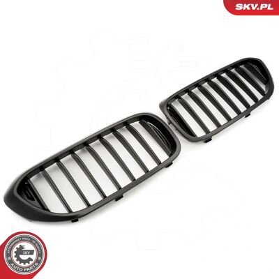 ESEN SKV 66SKV199 Schwarzer Matt Kühlergrill - Kühlergrill für BMW 5er ESEN SKV 66SKV199 Schwarzer Matt Kühlergrill - Kühlergrill für BMW 5er