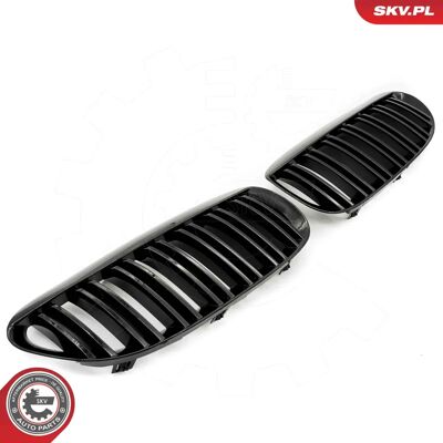 ESEN SKV 66SKV205 - Radiator Grill for BMW 6 Coupé ESEN SKV 66SKV205 - Radiator Grill for BMW 6 Coupé