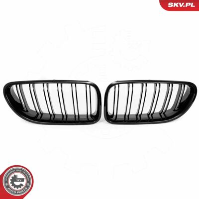 ESEN SKV 66SKV206 Negro Brillante BMW 6 Coupé Rejilla del Radiador - Rejilla de radiador ESEN SKV 66SKV206 Negro Brillante BMW 6 Coupé Rejilla del Radiador - Rejilla de radiador