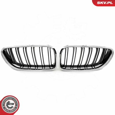 ESEN SKV 66SKV208 Griglia radiatore BMW - cromo/nero - 6 Coupé ESEN SKV 66SKV208 Griglia radiatore BMW - cromo/nero - 6 Coupé