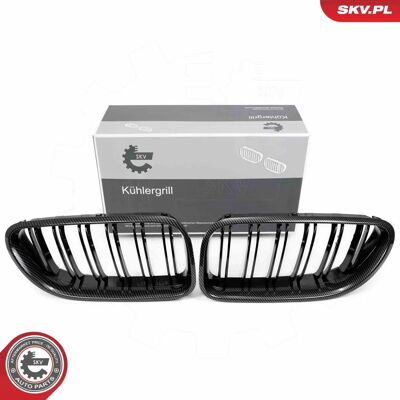 ESEN SKV 66SKV209 Carbon Radiator Grill - Radiator Grill ESEN SKV 66SKV209 Carbon Radiator Grill - Radiator Grill